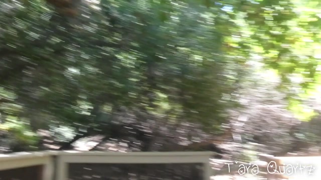 ManyVids_presents_Tara_Quartz_in_Public_Smoking_Flashing_W_Nicolette.mp4.00014.jpg