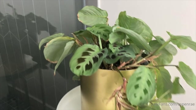 aspenrae_03-05-2020_I_can_t_believe_I_made_this.._but_here_is_a_13_min_video_of_me_talking_about_every_single_.mp4.00012.jpg