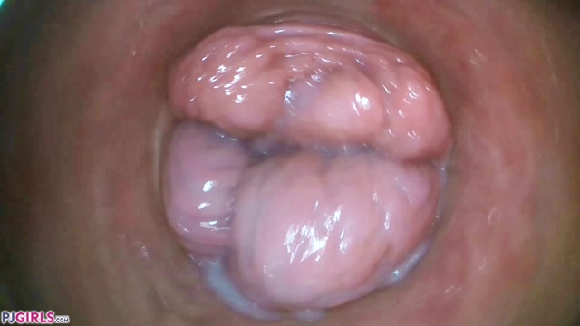 PJGirls - Silvia Black - RAW Endoscopic Video - 2021-08-14h 00004