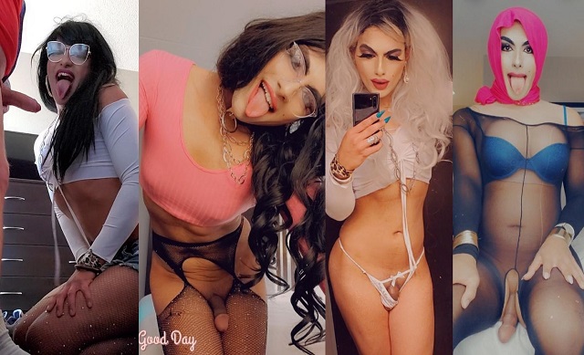 TS Mikah Doll aka mikahdoll 277 Clips, Photos Pack