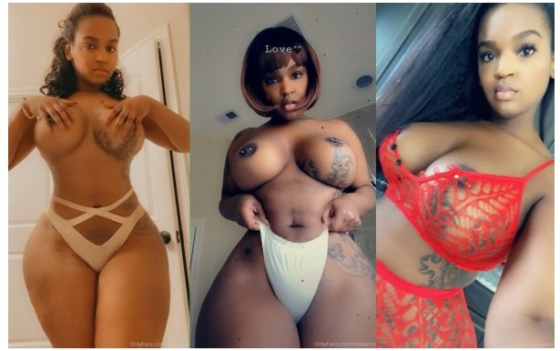Msdamn 612 Clips, Photos Pack