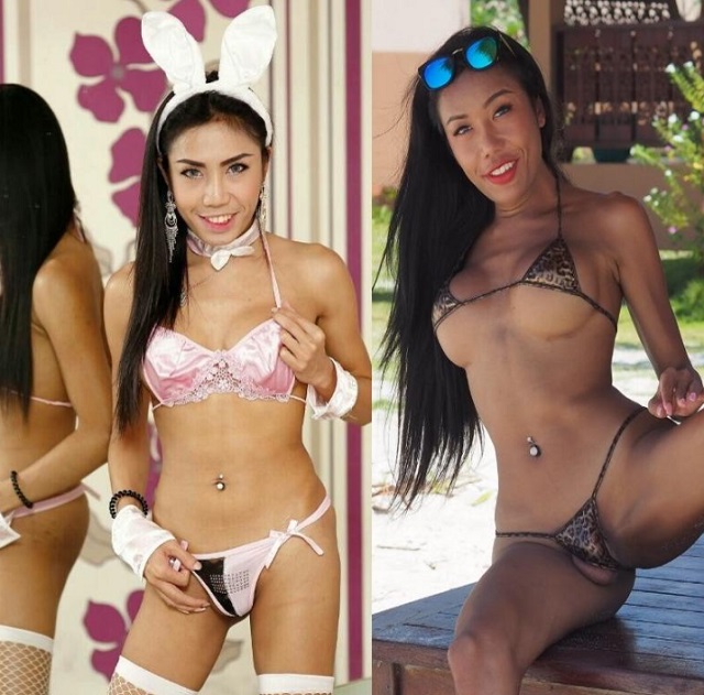 Ladyboy Mos aka ladyboymos 455 Clips, Photos Pack