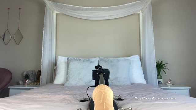 Miss Amina Rose - Pegged For Hours 00002