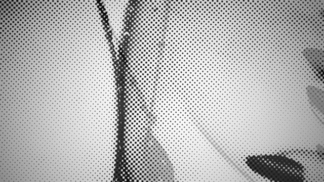 River Nixie - Zero - Countdown to Ecstasy 00012 River Nixie - Zero - Countdown to Ecstasy 00012