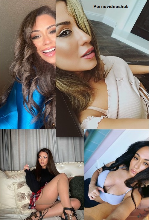 lexichase 480 Clips, 1280 Photos, 12 audio Pack