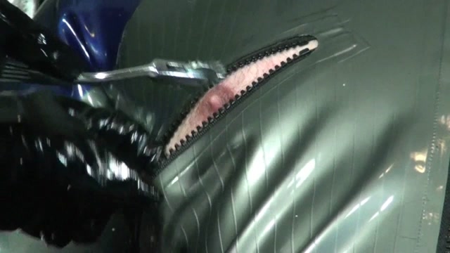 Mistress Cynthia - Submissive Slavedog - Part 2 00015 Mistress Cynthia - Submissive Slavedog - Part 2 00015